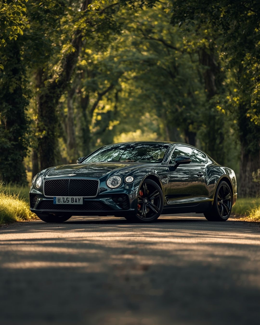 Halcyon Heritage Coupe